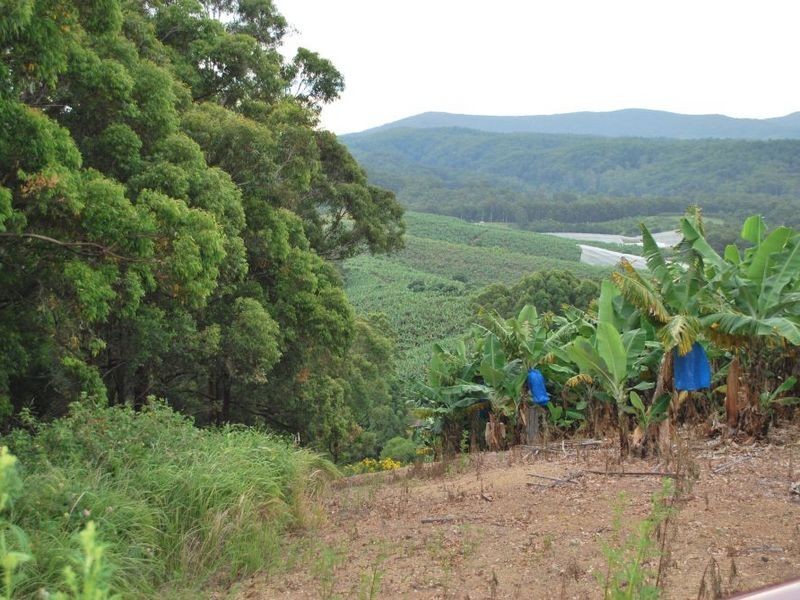 Lot 1 Greys Road, Woolgoolga NSW 2456