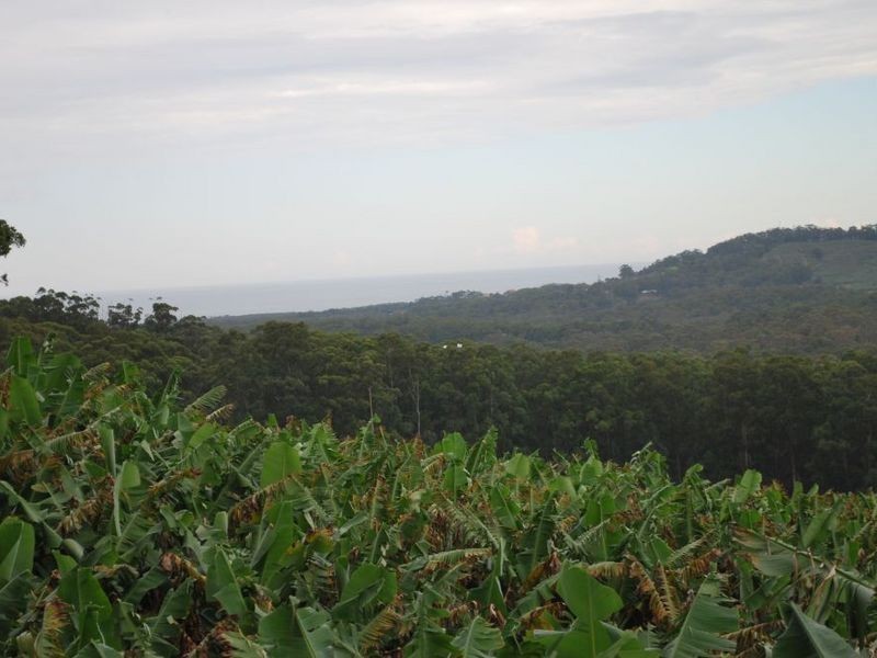 Lot 1 Greys Road, Woolgoolga NSW 2456