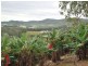 Lot 1 Greys Road, Woolgoolga NSW 2456