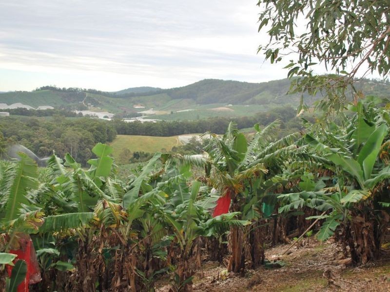 Lot 1 Greys Road, Woolgoolga NSW 2456