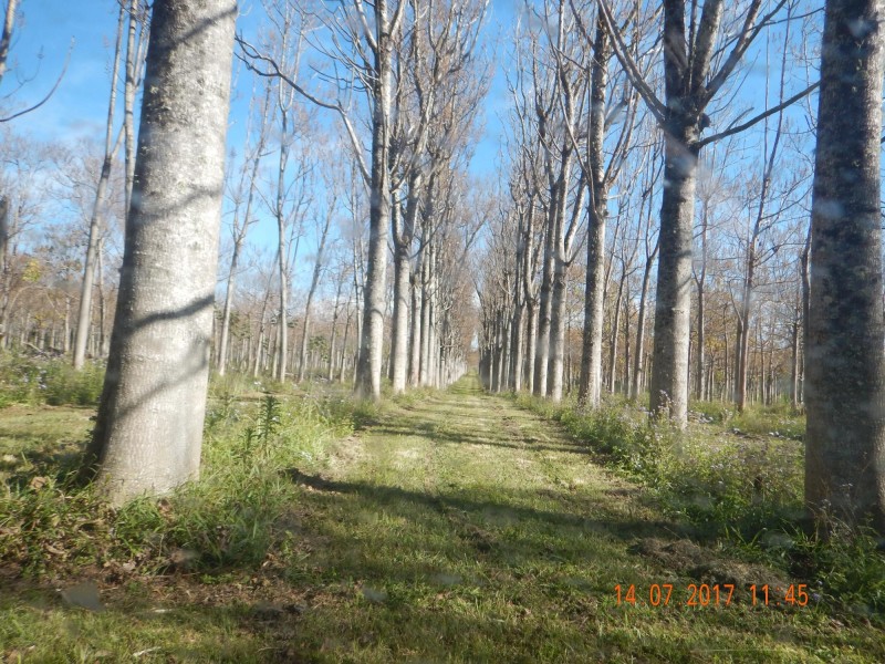 1604 Orara Way, Glenreagh NSW 2450