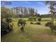 4 Cahill Street, Bellingen NSW 2454