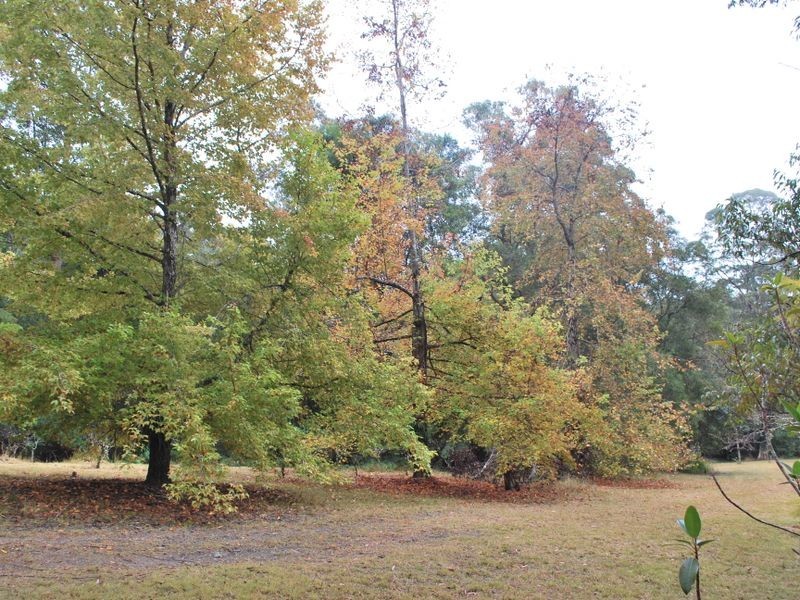 132 Mole Creek Road, Lowanna NSW 2450