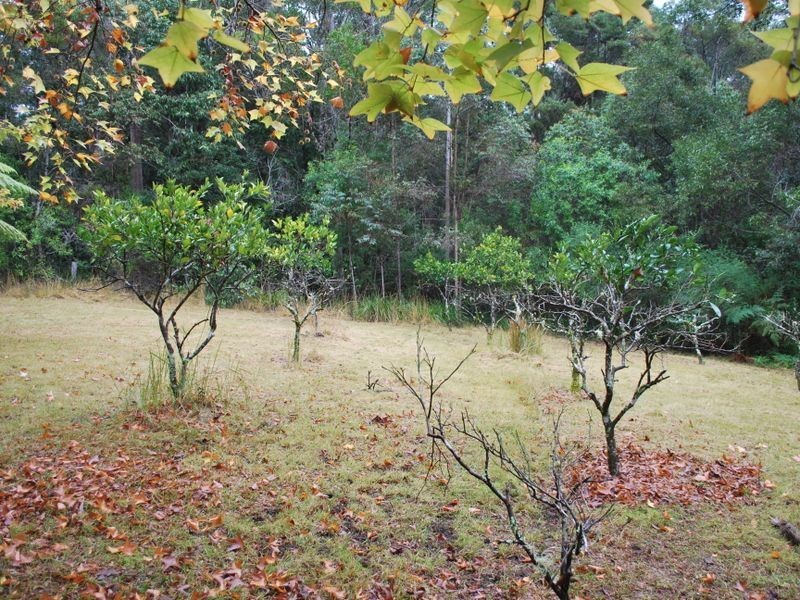 132 Mole Creek Road, Lowanna NSW 2450