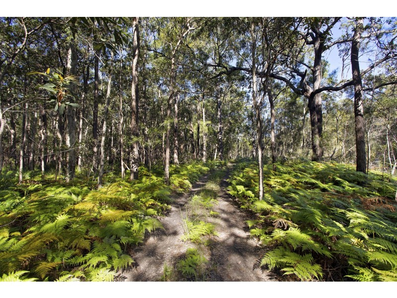Lot 372 Hogbin Drive, Coffs Harbour NSW 2450
