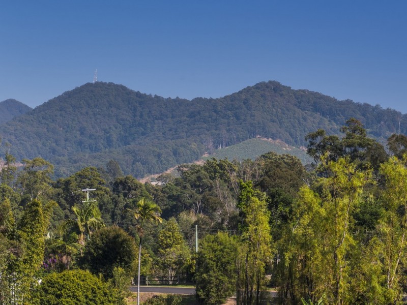 20 Plunkett Crescent, Boambee NSW 2450