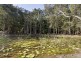 647 Pacific Highway, Boambee East NSW 2452