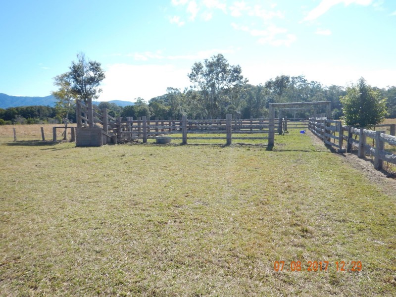 75 Reedys Forrest Road, Bundagen NSW 2454