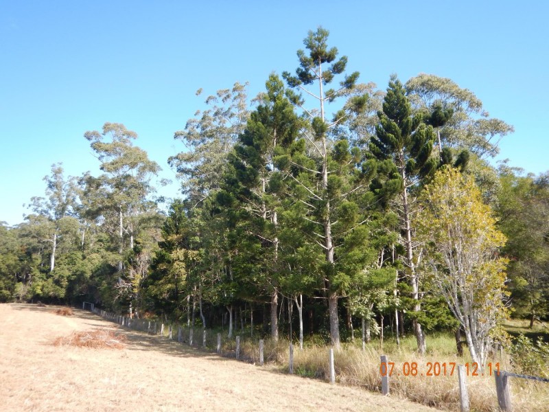 75 Reedys Forrest Road, Bundagen NSW 2454