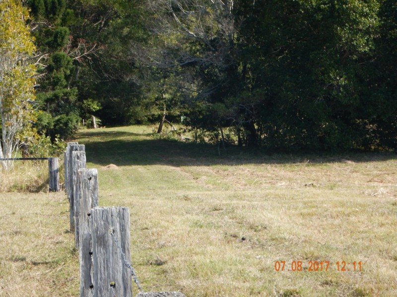 75 Reedys Forrest Road, Bundagen NSW 2454