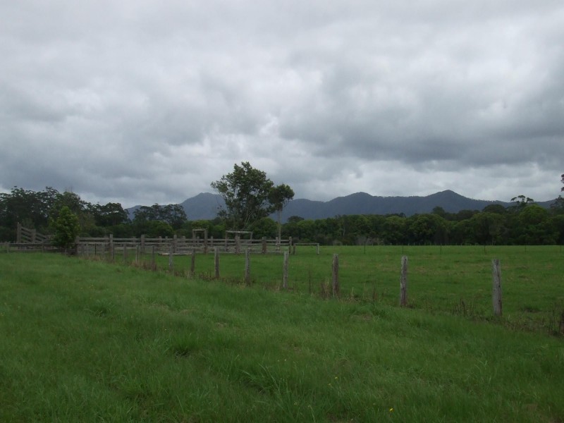 75 Reedys Forrest Road, Bundagen NSW 2454