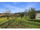 7630 Armidale Road, Dorrigo NSW 2453