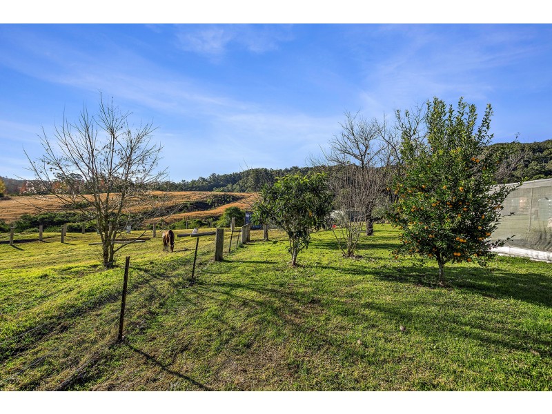 7630 Armidale Road, Dorrigo NSW 2453