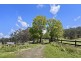 674 Harness Cask Road, Bostobrick NSW 2453