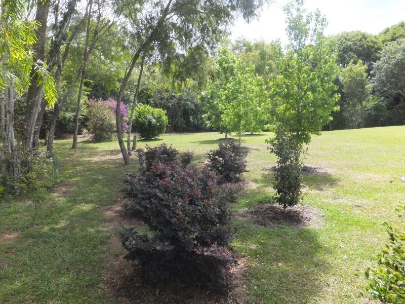 Lot 53 Sherwood Creek Road, Glenreagh NSW 2450