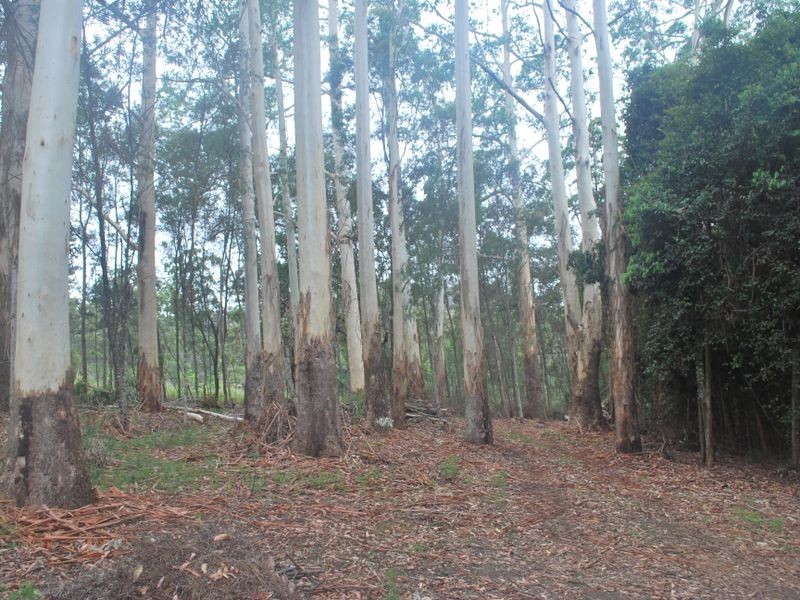 Lot 53 Sherwood Creek Road, Glenreagh NSW 2450