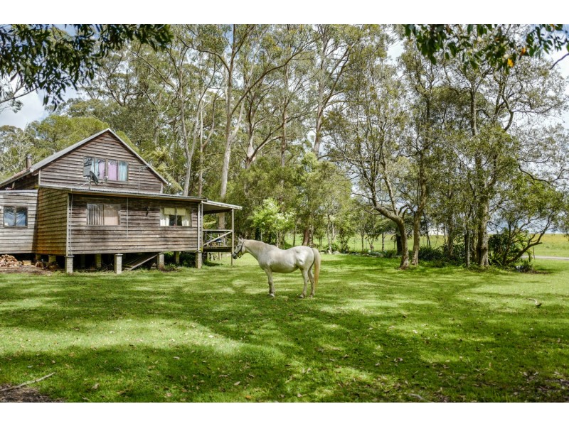 1909 Deervale Road, Dorrigo NSW 2453