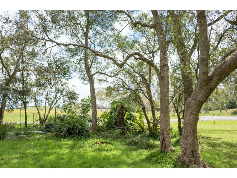1909 Deervale Road, Dorrigo NSW 2453