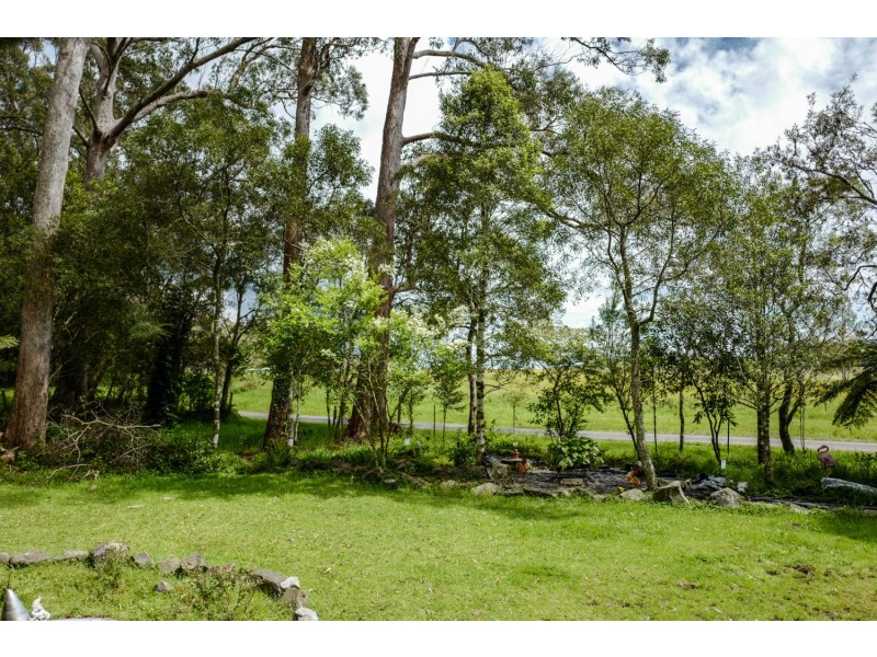 1909 Deervale Road, Dorrigo NSW 2453