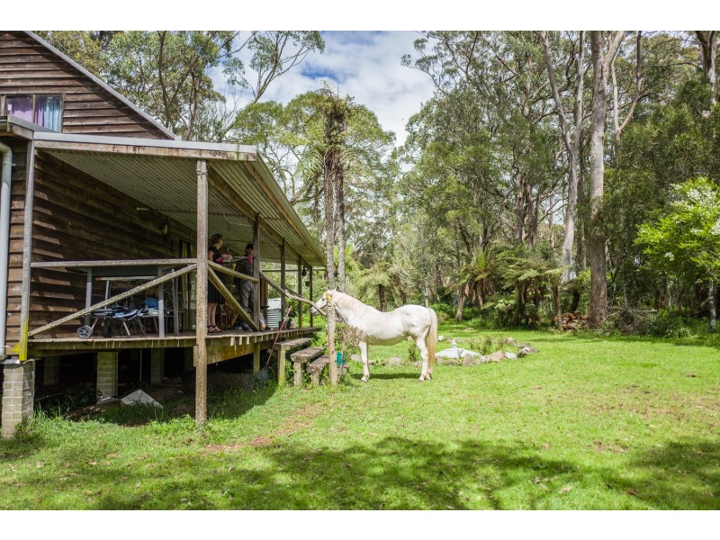 1909 Deervale Road, Dorrigo NSW 2453
