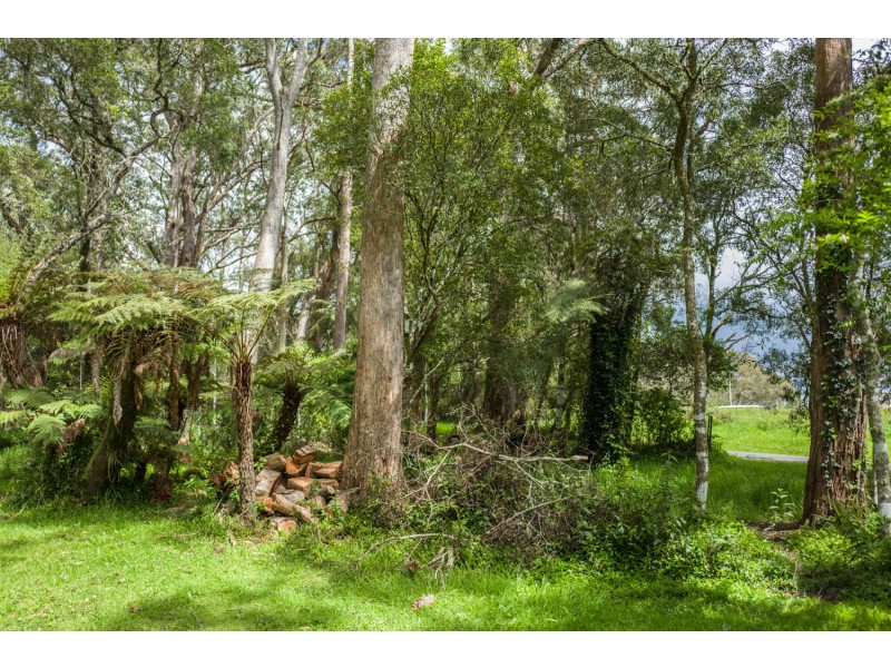 1909 Deervale Road, Dorrigo NSW 2453