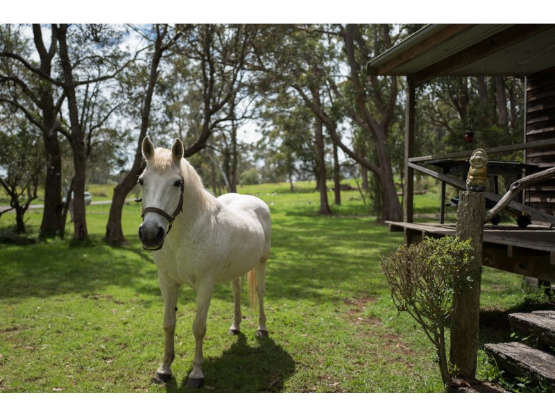 1909 Deervale Road, Dorrigo NSW 2453