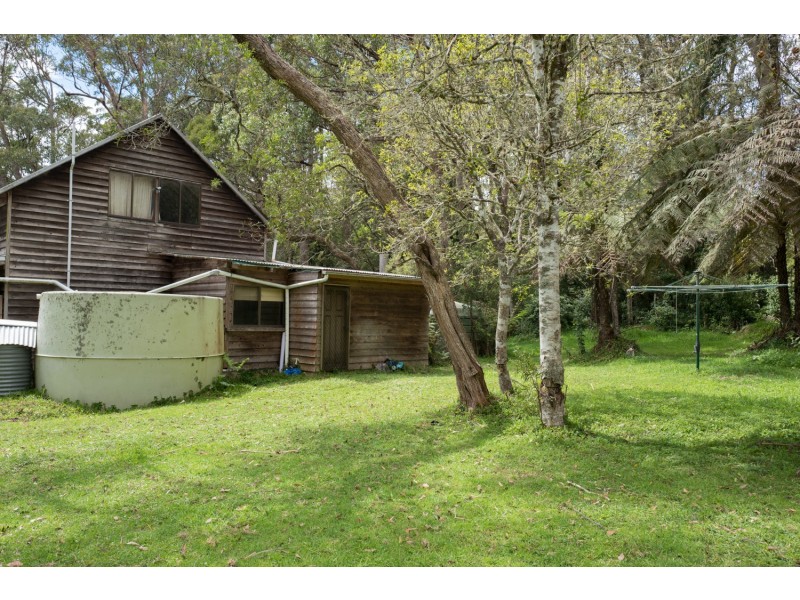 1909 Deervale Road, Dorrigo NSW 2453