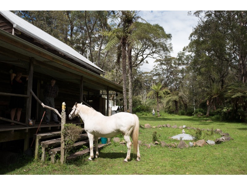 1909 Deervale Road, Dorrigo NSW 2453