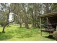 1909 Deervale Road, Dorrigo NSW 2453