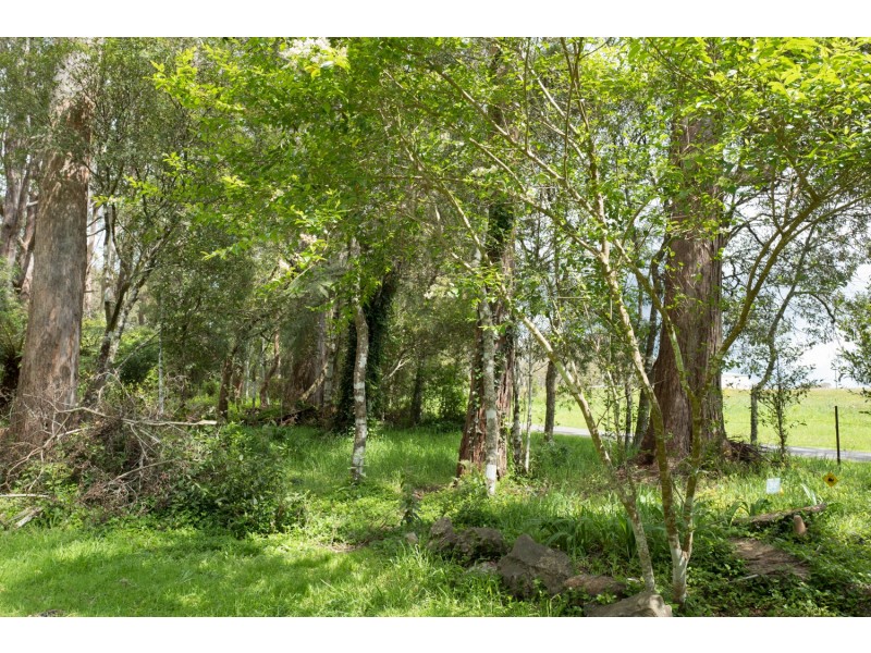 1909 Deervale Road, Dorrigo NSW 2453