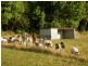 Bucca NSW 2450