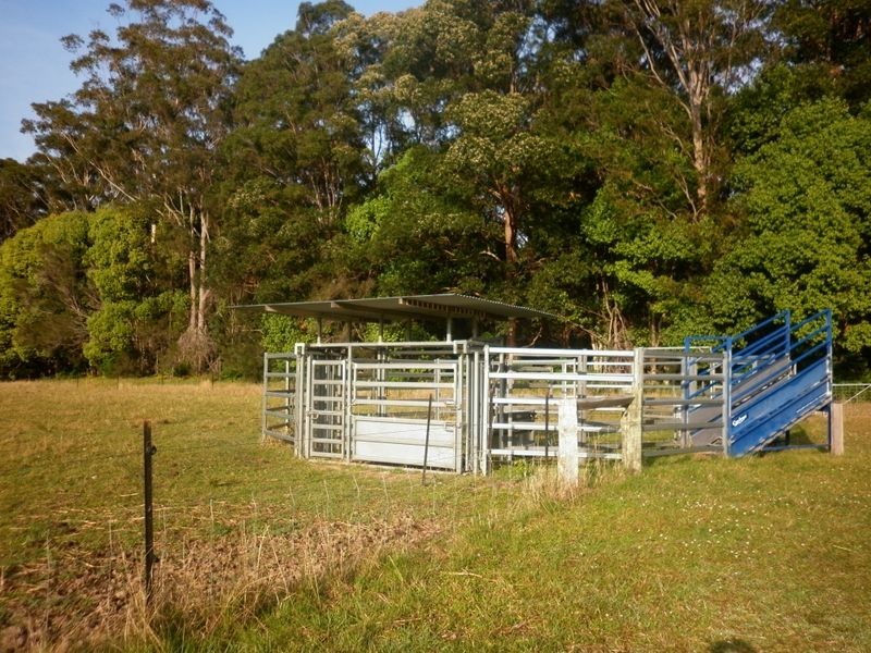 Bucca NSW 2450