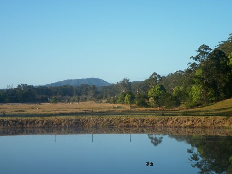 Bucca NSW 2450