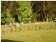 Bucca NSW 2450