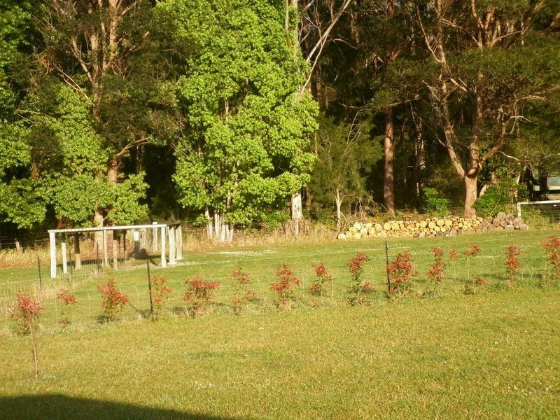 Bucca NSW 2450