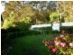 Bucca NSW 2450
