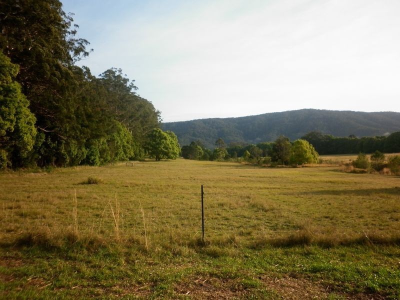 Bucca NSW 2450