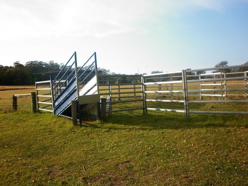 Bucca NSW 2450