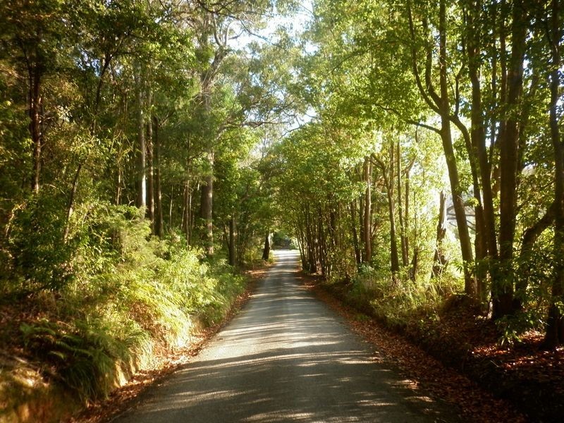 Bucca NSW 2450