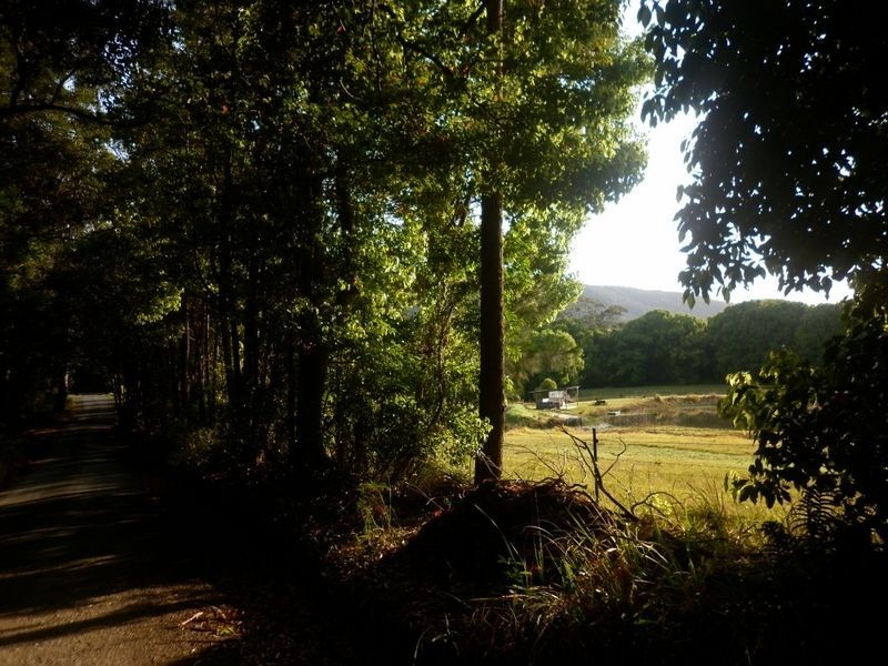 Bucca NSW 2450