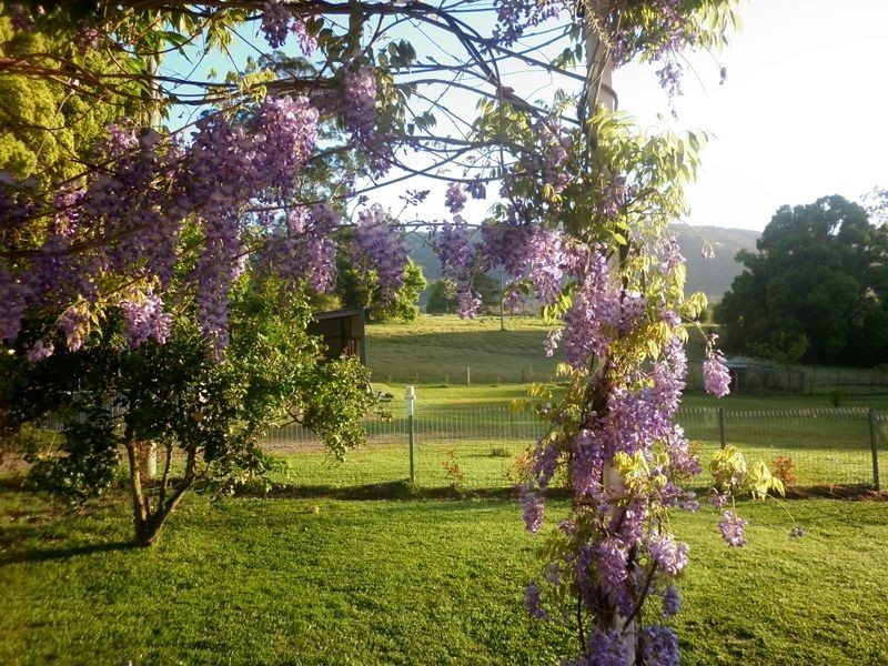 Bucca NSW 2450