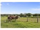 1331 Waterfall Way, Bellingen NSW 2454
