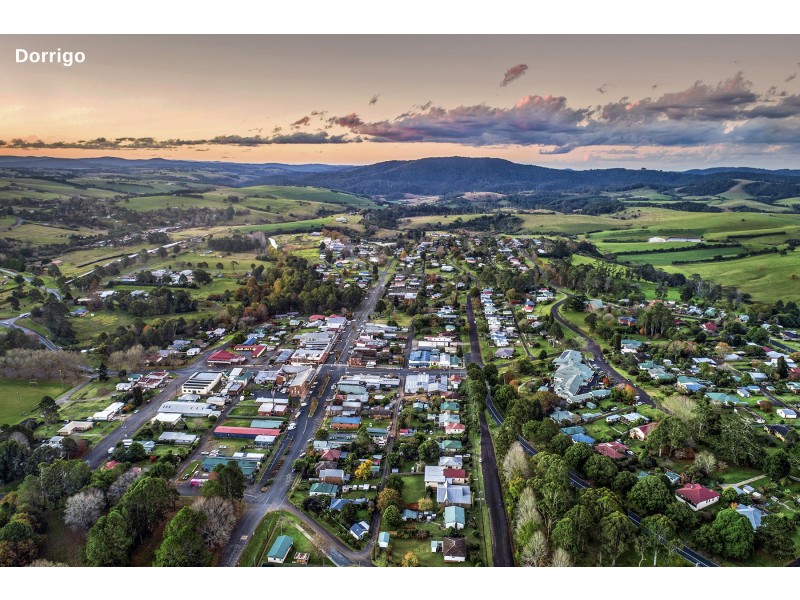 21 Hollibone Street, Dorrigo NSW 2453