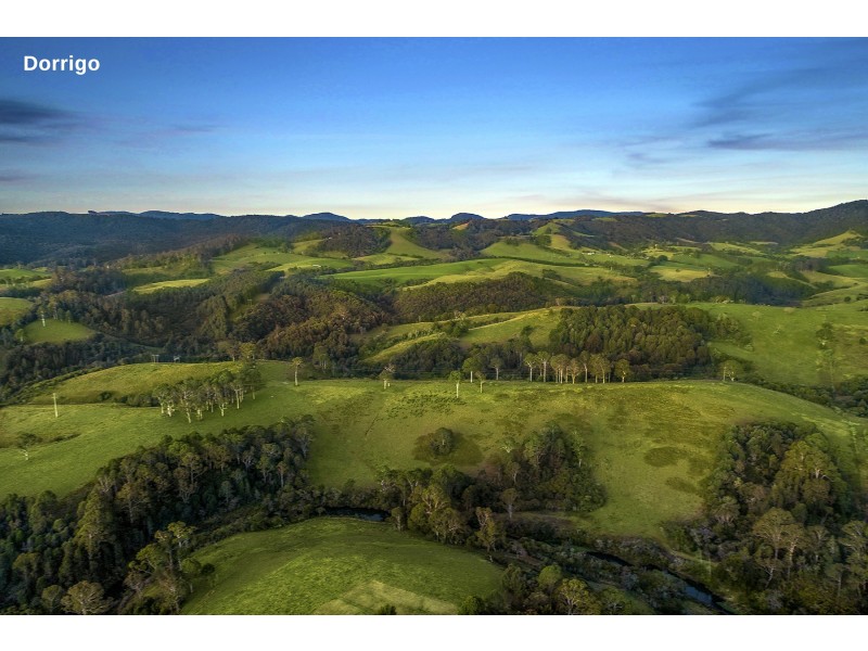 21 Hollibone Street, Dorrigo NSW 2453