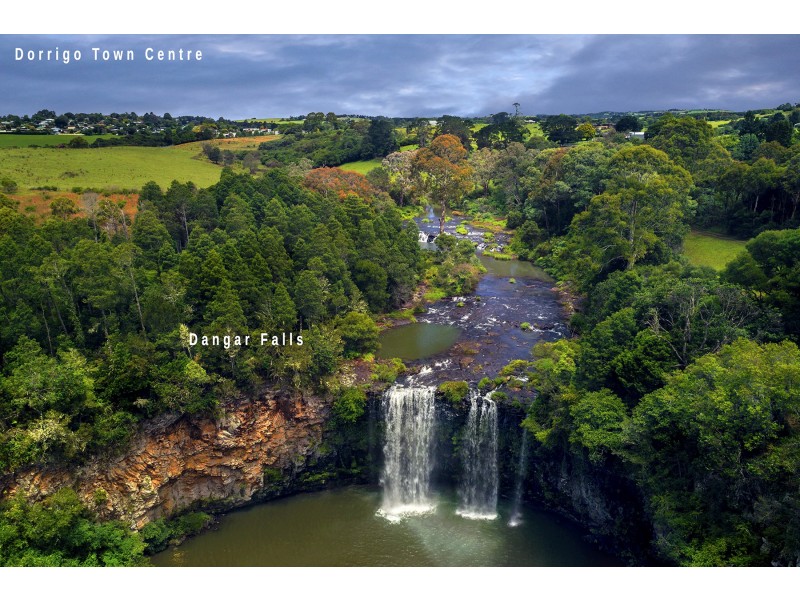21 Hollibone Street, Dorrigo NSW 2453