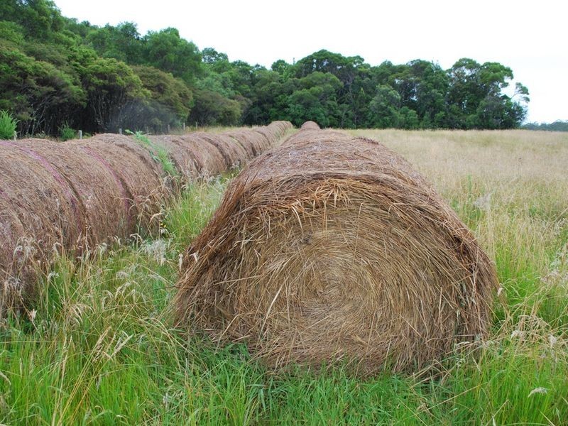 Lot 131 Lowanna Road, Lowanna NSW 2450