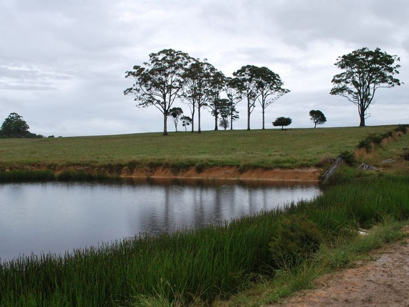 Lot 131 Lowanna Road, Lowanna NSW 2450