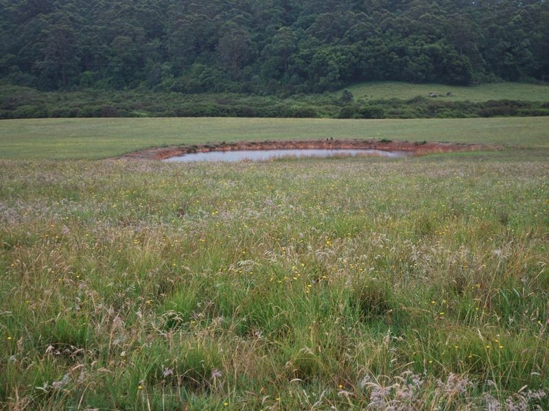 Lot 131 Lowanna Road, Lowanna NSW 2450