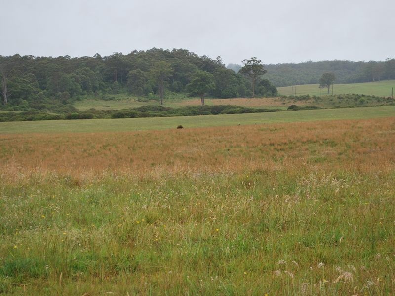 Lot 131 Lowanna Road, Lowanna NSW 2450