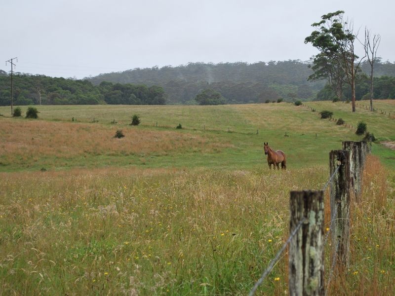 Lot 131 Lowanna Road, Lowanna NSW 2450